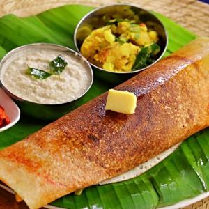 Mysore Dosa
